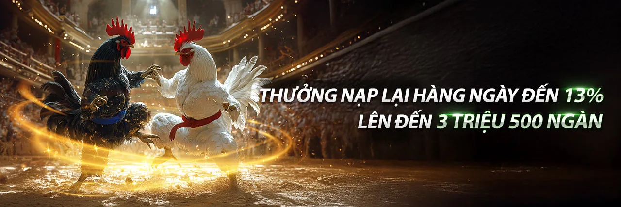 Đấu trường đá gà trực tuyến BJ388